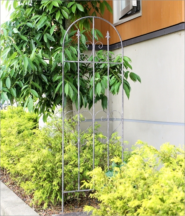 シャビーなアイアンアーチトレリス(1)
