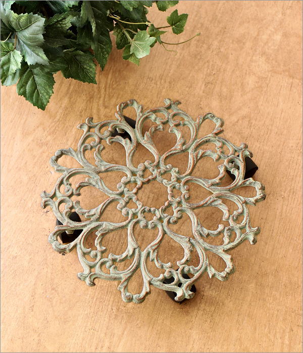 アイアンプラントキャリー フラワー(1)