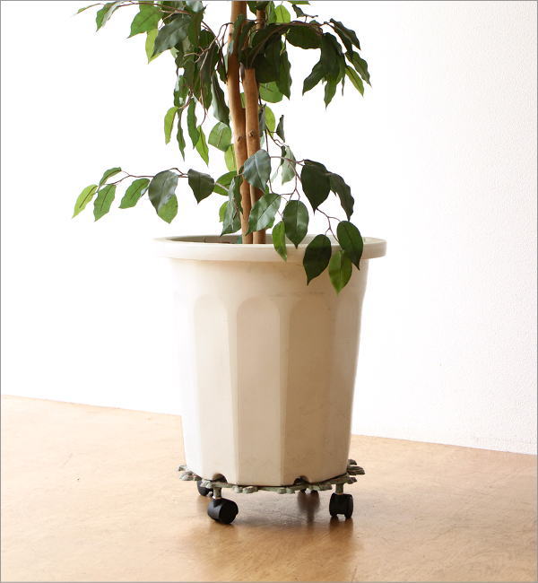 アイアンプラントキャリー フラワー(3)