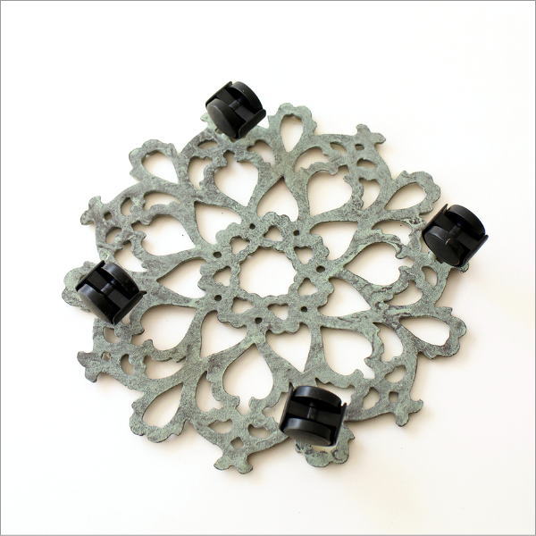 プラントキャリーフラワー(5)