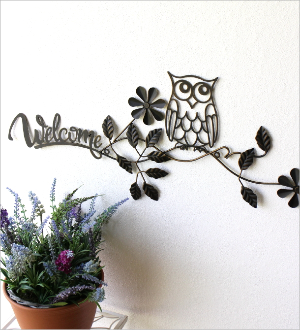 ウェルカムウォールフクロウ(1)