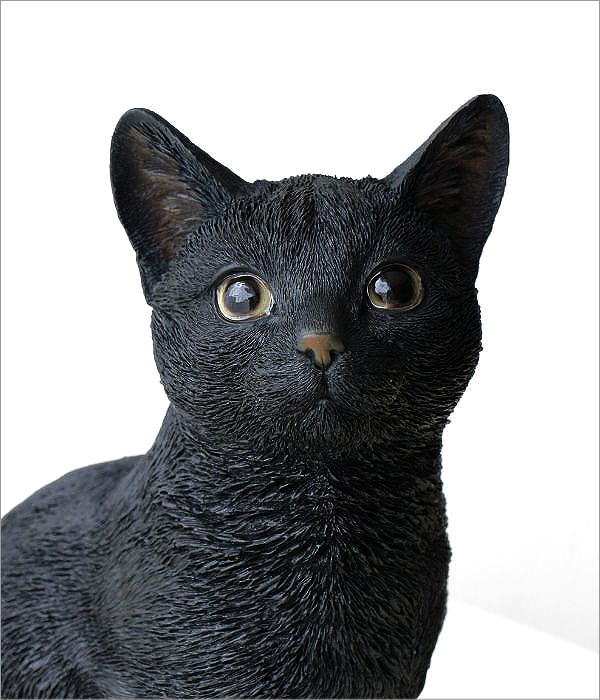黒ねこのオブジェ(2)