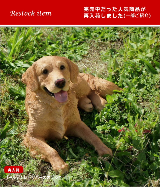 再入荷