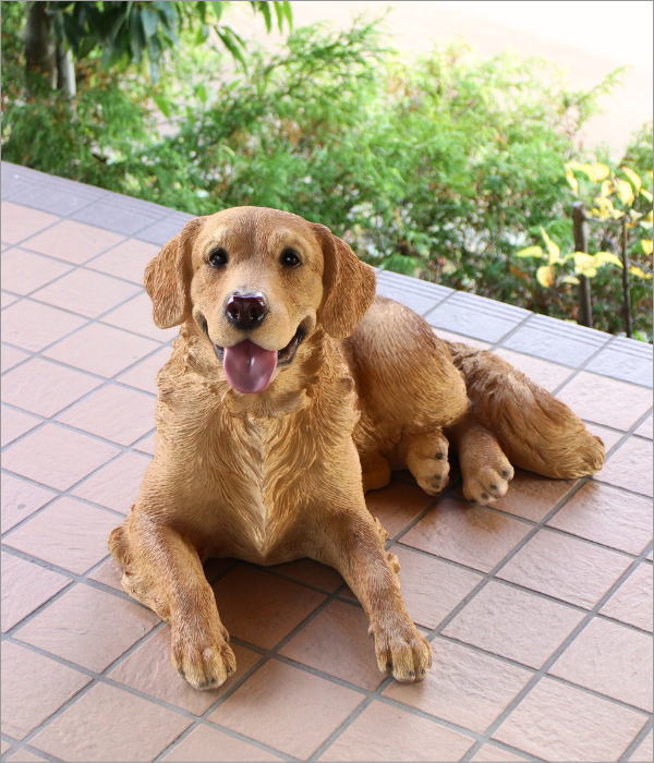 ゴールデンゴールデンレトリバーのオブジェ リラックスのオブジェ リラックス(1)