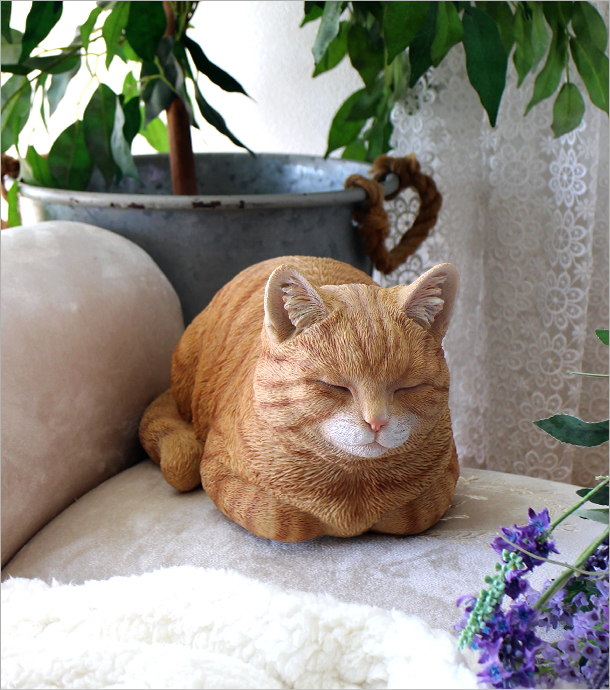 まったり茶トラの 香箱ねこ(1)