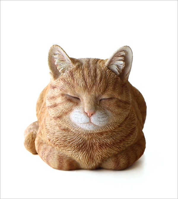 まったり茶トラの 香箱ねこ(2)