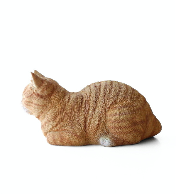 まったり茶トラの 香箱ねこ(5)