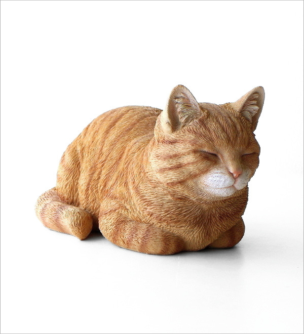 まったり茶トラの 香箱ねこ(8)