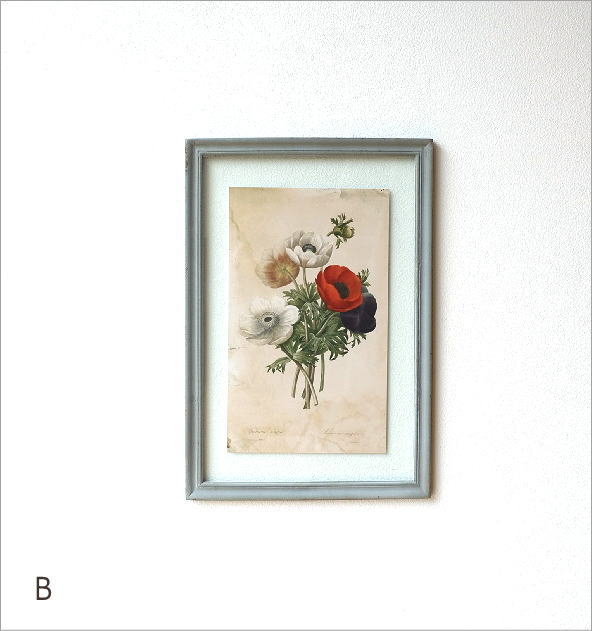 アンティークな植物画フレーム 2タイプ(6)