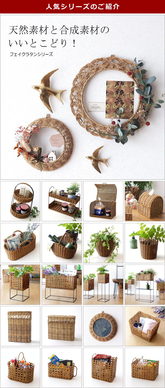 人気カテゴリー