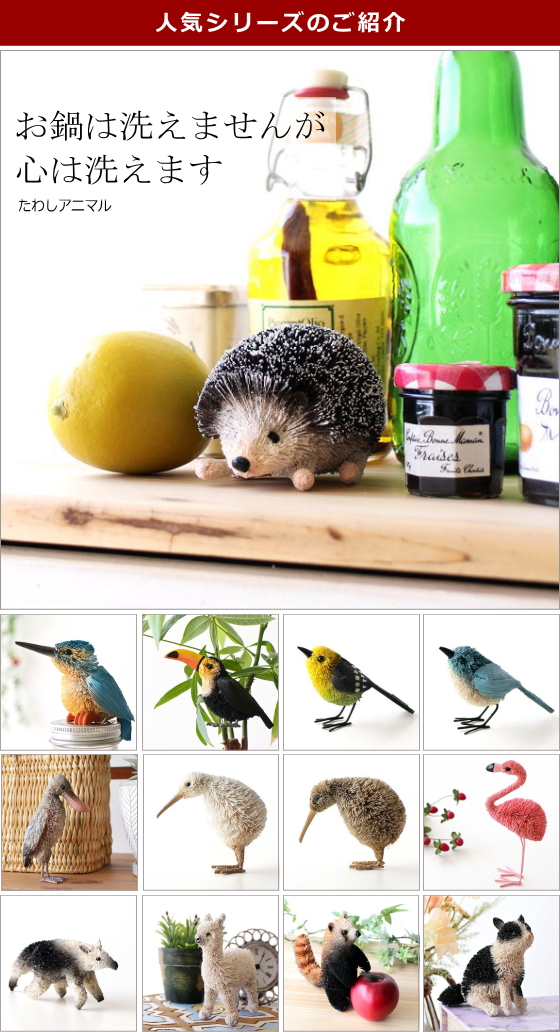 人気カテゴリー