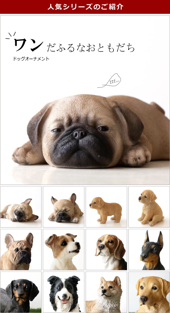 人気カテゴリー