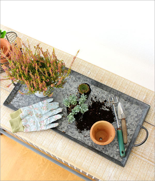 ブリキのハンドルプレート(1)