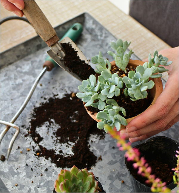 ブリキのハンドルプレート(2)