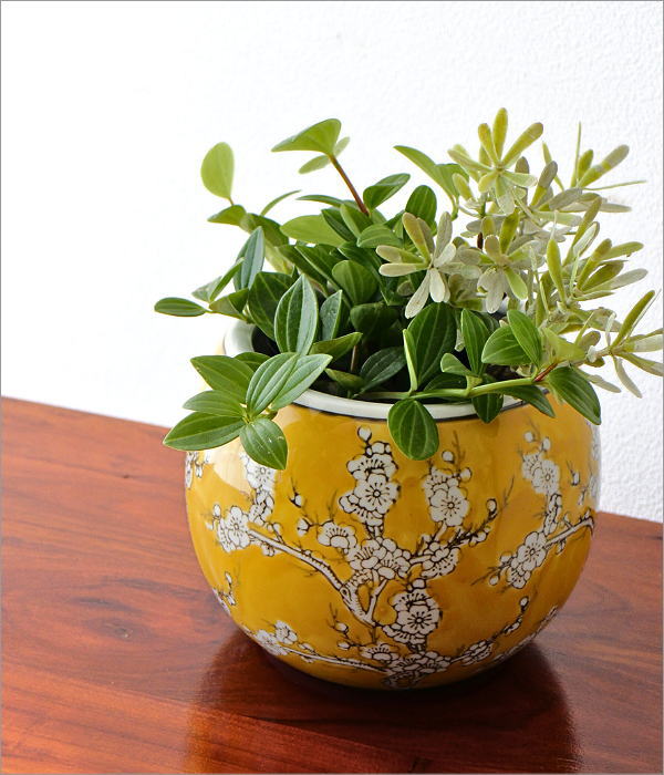 陶器のミニ火鉢 黄梅(2)