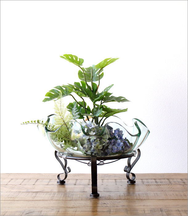 睡蓮鉢 ガラスボウル おしゃれ 波型 金魚鉢 ビオトープ すいれん鉢 観葉植物 水生植物 ガラスのウォーターベース 波 Swa3869 ギギliving