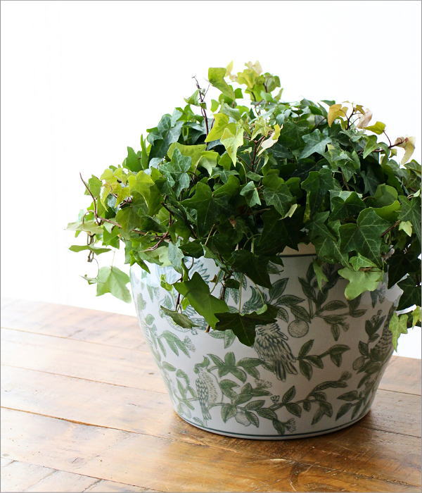 陶器の火鉢 緑花鳥 S(2)