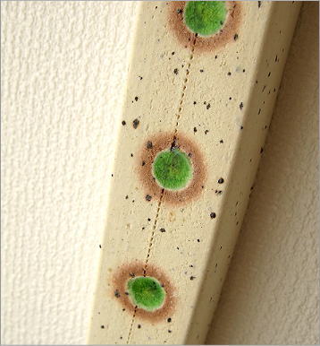 一輪挿し 壁掛け花瓶 和陶器掛け花一(2)