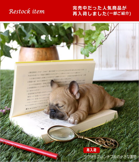 再入荷