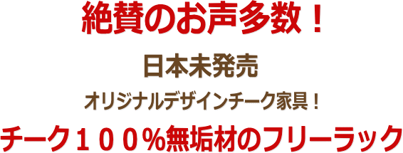 絶賛のお声多数！チークフリーラックH100