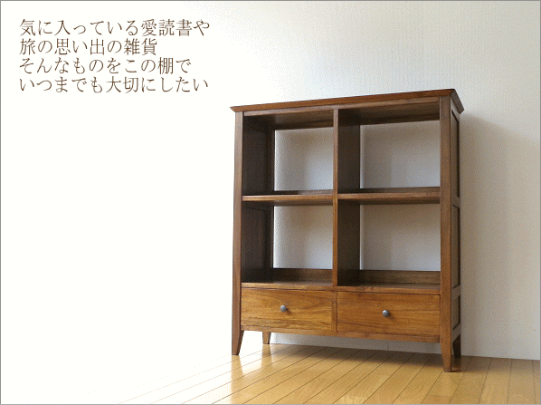 チークフリーラックH100(1)