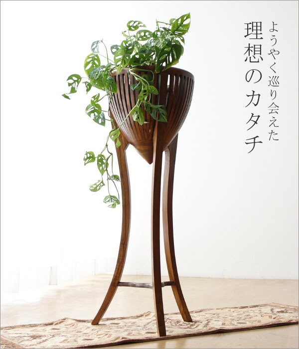 チークフラワースタンドＬ(1)