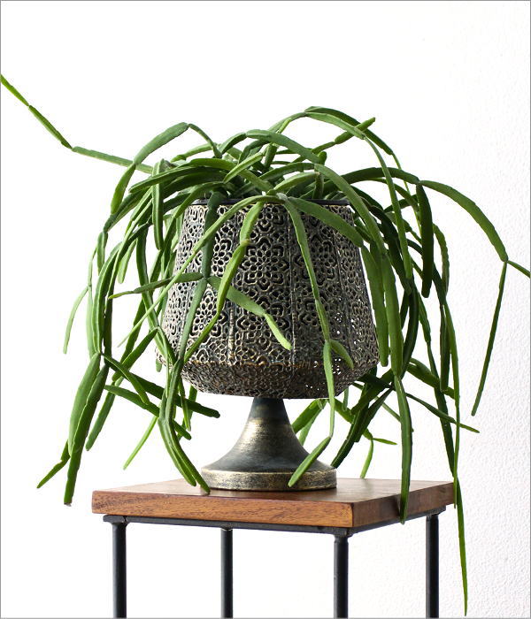 シャビーなアイアンのレースカップ(2)