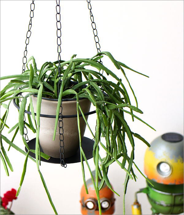 チェーンプレートハンギング(1)