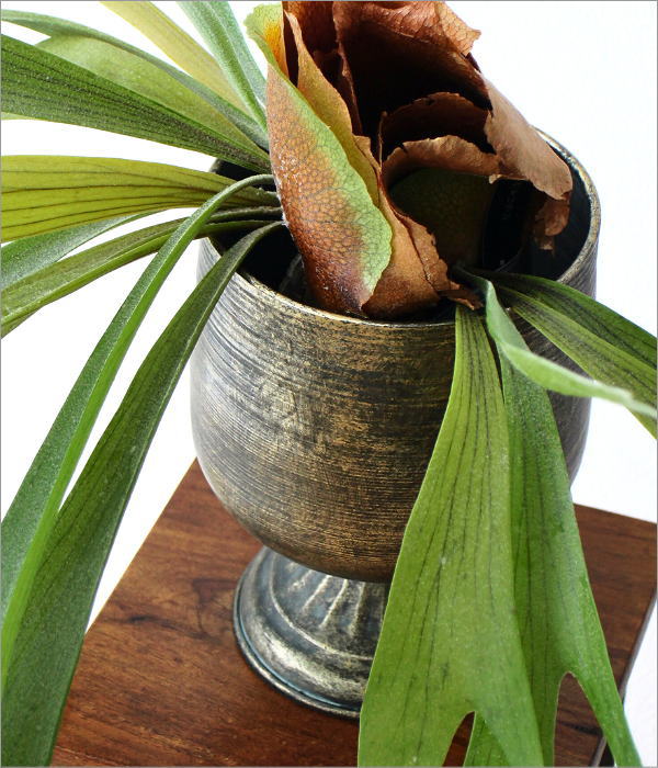 シャビーなアイアンのプレーンカップ(1)