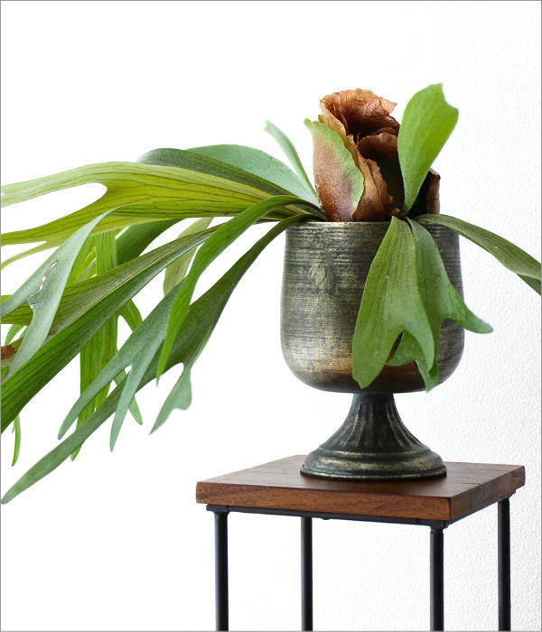 シャビーなアイアンのプレーンカップ(2)