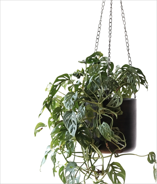 ハンギングポット メタル M(1)