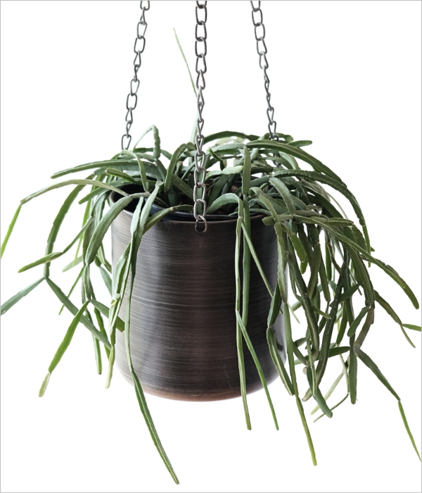 ハンギングポット メタル S(1)