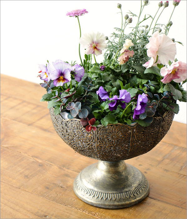 シャビーなアイアンのレースカップ ワイド(1)