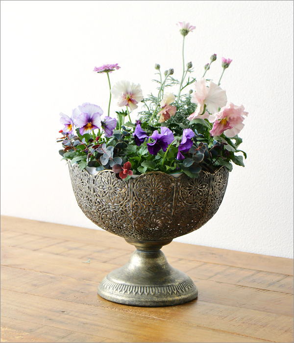 シャビーなアイアンのレースカップ ワイド(2)