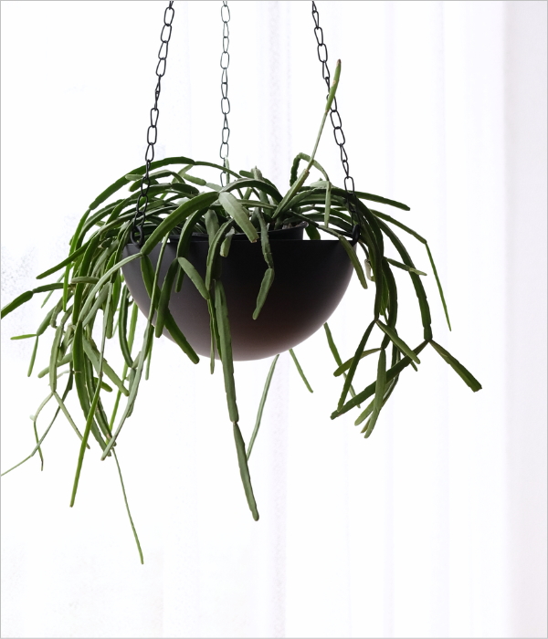 ハンギングポット シャロー(1)